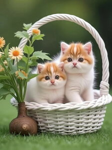 yN[|p10%OFFz hJLbg L 5D o&AB _ChA[g Lbg r[YhJ S _ChyCeBOCeA nhCh NXXeb` _CA