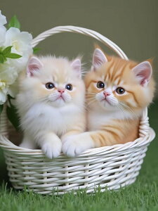 yN[|p10%OFFz hJLbg L 5D o&AB _ChA[g Lbg r[YhJ S _ChyCeBOCeA nhCh NXXeb` _CA