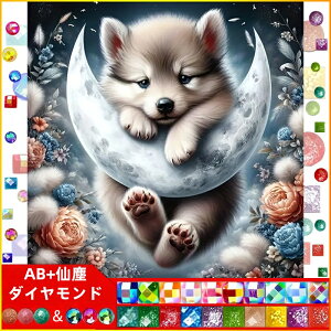 y1-8I15%OFFN[|zzz hJLbg 킢q 5D o&AB _ChA[g Lbg r[YhJ S _ChyCeBOCeA nhCh NXXe