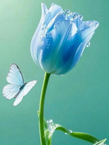 y10%OFFN[|zzz hJLbg `[bv 5D o&AB _ChA[g Lbg r[YhJ S _ChyCeBOCeA nhCh NXXeb`