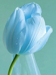 y9-18IN[|p15%OFFz hJLbg `[bv 5D o&AB _ChA[g Lbg r[YhJ S _ChyCeBOCeA nhCh NX