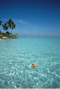 yN[|p10%OFFz hJLbg iC 5D o&AB _ChA[g Lbg r[YhJ S _ChyCeBOCeA nhCh NXXeb` _CA