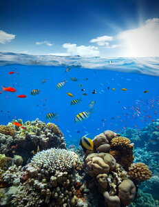 yN[|p10%OFFz hJLbg iC 5D o&AB _ChA[g Lbg r[YhJ S _ChyCeBOCeA nhCh NXXeb` _CA