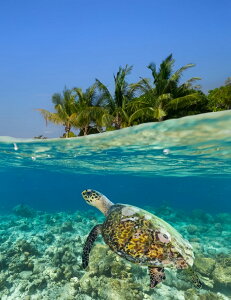 yN[|p10%OFFz hJLbg iC 5D o&AB _ChA[g Lbg r[YhJ S _ChyCeBOCeA nhCh NXXeb` _CA