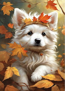 y5-12I15%OFFN[|zzz hJLbg L 5D o&AB _ChA[g Lbg r[YhJ S _ChyCeBOCeA nhCh NX