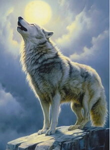 【10%OFFクーポン配布中】送料無料 刺繍キット動物 雪狼 5D 仙塵&AB ダイヤモンドアート キット ビーズ刺繍 初心者 ダイヤモンドペインティングインテリア ハンドメイド クロスステッチ ダイ