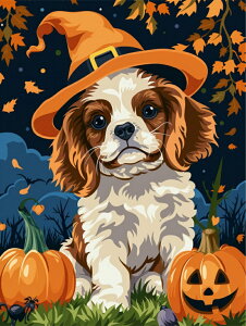 yN[|p10%OFFz hJLbg 5D _ChA[g Lbg o&AB r[YhJ nEB S _ChyCeBOCeA nhCh NXXeb` _