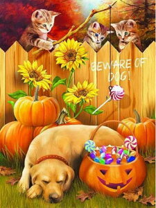 y10%OFFN[|zzz hJLbg 5D _ChA[g Lbg o&AB r[YhJ nEB S _ChyCeBOCeA nhCh NXXeb` _