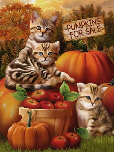 y10%OFFN[|zzz hJLbg 5D _ChA[g Lbg o&AB r[YhJ nEB S _ChyCeBOCeA nhCh NXXeb` _