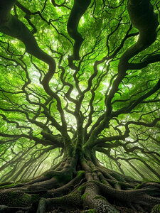 yN[|p10%OFFz hJLbg 5D o&AB _ChA[g Lbg r[YhJ i S _ChyCeBOCeA nhCh NXXeb` _CA