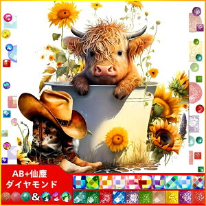 yN[|p10%OFF z hJLbg 킢 5D o&AB _ChA[g Lbg r[YhJ S _ChyCeBOCeA nhCh NXXeb` 