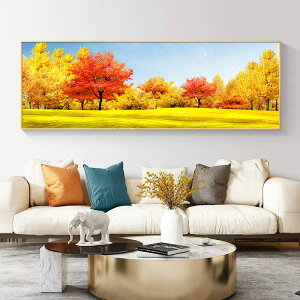 yN[|p10%OFF z hJLbg 5D ^ i _ChA[g Lbg r[Y ㋉Ҍ t _ChyCeBOCeA  nhCh NXXeb` 