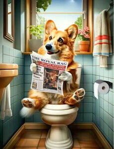 y5-12I15%OFFN[|zzz hJLbg  5D o&AB _ChA[g Lbg r[YhJ S _ChyCeBOCeA nhCh NXX