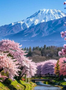 yN[|p10%OFFz hJLbg 5D o&AB _ChA[g Lbg r[YhJ xmR̍ S _ChyCeBOCeA nhCh NXXeb` _