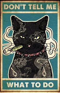 yN[|p10%OFFz hJLbg 5D _ChA[g Lbg r[YhJ 킢L S _ChyCeBOCeA nhCh NXXeb` _CA