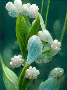 y10%OFFN[|zzz hJLbg 5D _ChA[g Lbg r[YhJ  S _ChyCeBOCeA nhCh NXXeb` _CAhA[g