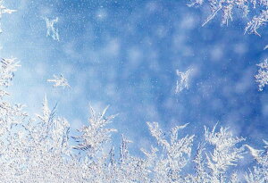 yN[|p10%OFFz hJLbg 5D _ChA[g Lbg r[YhJ i 䂫̉ S _ChyCeBOCeA nhCh NXXeb` _CA