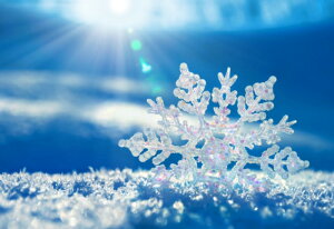 y19-28I15%OFFN[|zzz hJLbg 5D _ChA[g Lbg r[YhJ i 䂫̉ S _ChyCeBOCeA nhCh NXXeb` 