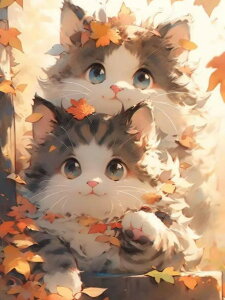 y9-18IN[|p15%OFFz hJLbg 5D _ChA[g Lbg r[YhJ 킢L S _ChyCeBOCeA nhCh NXXeb` _