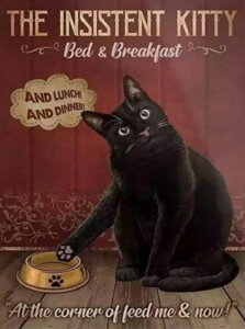 yN[|p10%OFFz hJLbg 5D_ChA[g Lbg r[YhJ L S _ChyCeBOCeA nhCh NXXeb` _CAhA[