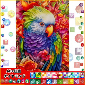 yN[|p10%OFF z hJLbg  IE 5D o^tC o&AB _ChA[g Lbg r[YhJ S _ChyCeBOCeA nhCh NX