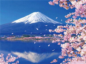 y9-18IN[|p15%OFFz hJLbg 5D _ChA[g Lbgi xmR̍ r[YhJ S _ChyCeBOCeA nhCh NXXeb`