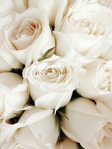 y21-31IN[|p15%OFFz hJLbg 5D _ChA[g Lbg r[YhJ i S _ChyCeBOCeA nhCh NXXeb` _CA