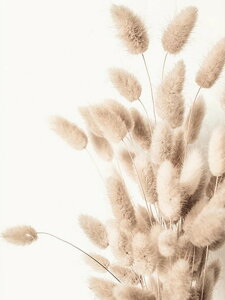 yN[|p10%OFFz hJLbg 5D _ChA[g Lbg r[YhJ i S _ChyCeBOCeA nhCh NXXeb` _CAhA[