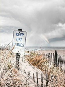 yN[|p10%OFFz hJLbg 5D _ChA[g Lbg r[YhJ i S _ChyCeBOCeA nhCh NXXeb` _CAhA[