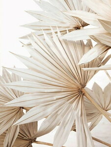 yN[|p10%OFFz hJLbg 5D _ChA[g Lbg r[YhJ i S _ChyCeBOCeA nhCh NXXeb` _CAhA[