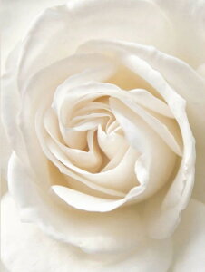 yN[|p10%OFFz hJLbg 5D _ChA[g Lbg r[YhJ i S _ChyCeBOCeA nhCh NXXeb` _CAhA[