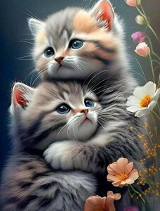 yN[|p10%OFFz hJLbg 5D o^tC _ChA[g Lbg r[YhJ 킢L S _ChyCeBOCeA nhCh NXXeb`