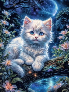 yN[|p10%OFFz hJLbg 5D o^tC _ChA[g Lbg r[YhJ 킢L S _ChyCeBOCeA nhCh NXXeb`