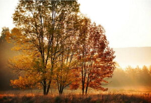 yN[|p10%OFFz hJLbg 5D o^tC _ChA[g Lbg r[YhJ i H S _ChyCeBOCeA nhCh NXXeb` _