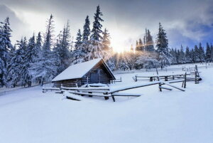 yN[|p10%OFFz hJLbg 5D _ChA[g Lbg r[YhJ i ~ S _ChyCeBOCeA nhCh NXXeb` _CAh