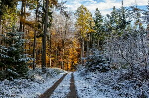 y19-28I15%OFFN[|zzz hJLbg 5D _ChA[g Lbg r[YhJ i ~ S _ChyCeBOCeA nhCh NXXeb` _CA