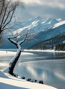 yN[|p10%OFF z hJLbg 5D o^tC _ChA[g Lbg r[YhJ i ~ S _ChyCeBOCeA nhCh NXXeb` _