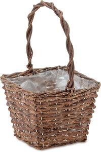 |bVrO Jo[ K[foXPbg XNGA LTCY 11605 uE 18.5×17×30.5cm