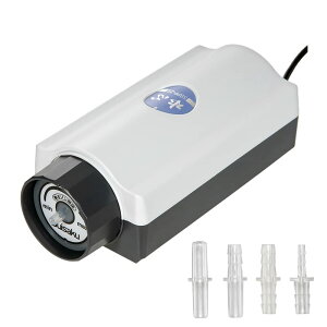  S SSPP|2SiGAʃ_Cj 60`120cmpGA[|v ܂t