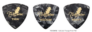 TAKAMINE Celluloid Triangle Pick P1B (Black Pearl)s^J~ltZCh/gCAO/ubNp[(1j