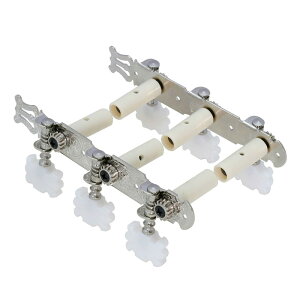 KIKUTANI sLN^jtGM-35DGiCEKbgM^[pyOyAp[c