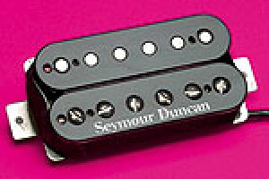 Seymour DuncansZCAE_JtSH-11 Custom Custom@Zebra@sbNAbv