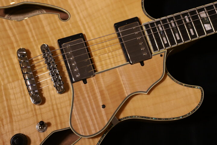 楽天市場】【送料無料!】【数量限定モデル!】Ibanez ASV113-RNT 