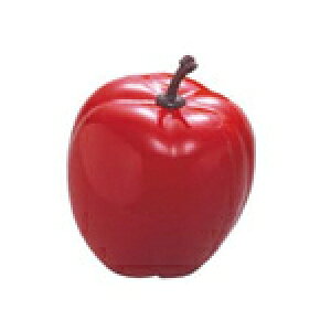 PLAY WOOD vCEbh [FS-APR] Fruits Shaker Red Apple t[cVF[J[^ԃS