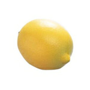 PLAY WOOD vCEbh [FS-820_LMN] Fruits Shaker Lemon t[cVF[J[^