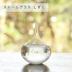 Xg[OX  333401 t@TCGX Cۗ\v CeA IV Vv  I[ig KX ̓ ̓ hV̓ Mtg bsO j ~  yJ