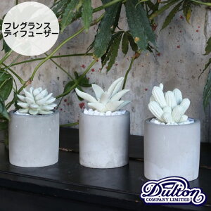 y[J[񂹁z FRAGRANCE DIFFUSERy_g DULTONz tOX fBt[U[ JN^X T{e  AG  F CeA O[  ̓