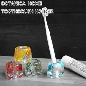 {^jJ uVX^hyI[hAhj[ OLD & NEWz BOTANICA HOME TOOTH BRUSH STAND 킢 [ ʏ hCt[ VF CX^f [  ~ IV n[oE