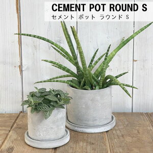 y[J[񂹁zCEMENT POT ROUND S y_g DULTONzG20-0219S Zg |bg Eh S Zg RN[g K[fjO |    K[f |bg  A Aւ 