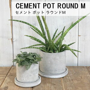 y[J[񂹁zCEMENT POT ROUND My_g DULTONzG20-0219M Zg |bg Eh M Zg RN[g K[fjO |    K[f |bg  A Aւ